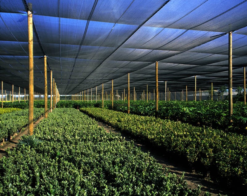 Alnet Agri Shadecloth Projects